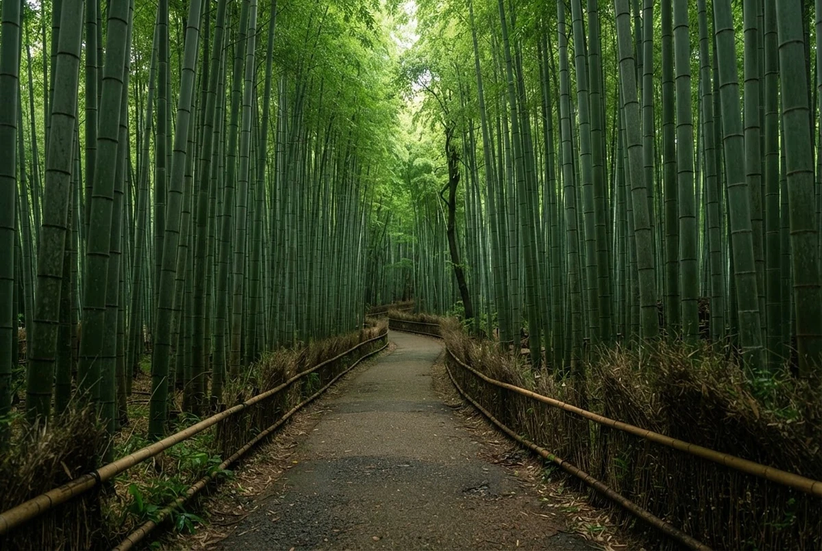 Kyoto Full Day Tour Fushimi Inari Kinkakuji and Bamboo Grove