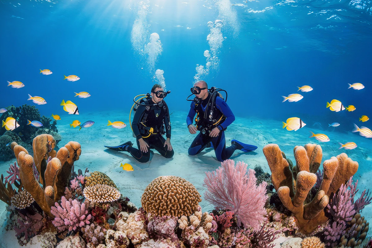 Ras Mohamed and White Island Snorkelling with Try Dive Sharm El Sheikh