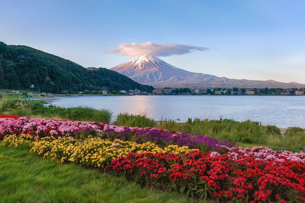 Lake Kawaguchiko Electric Mini-Car Guided Tour