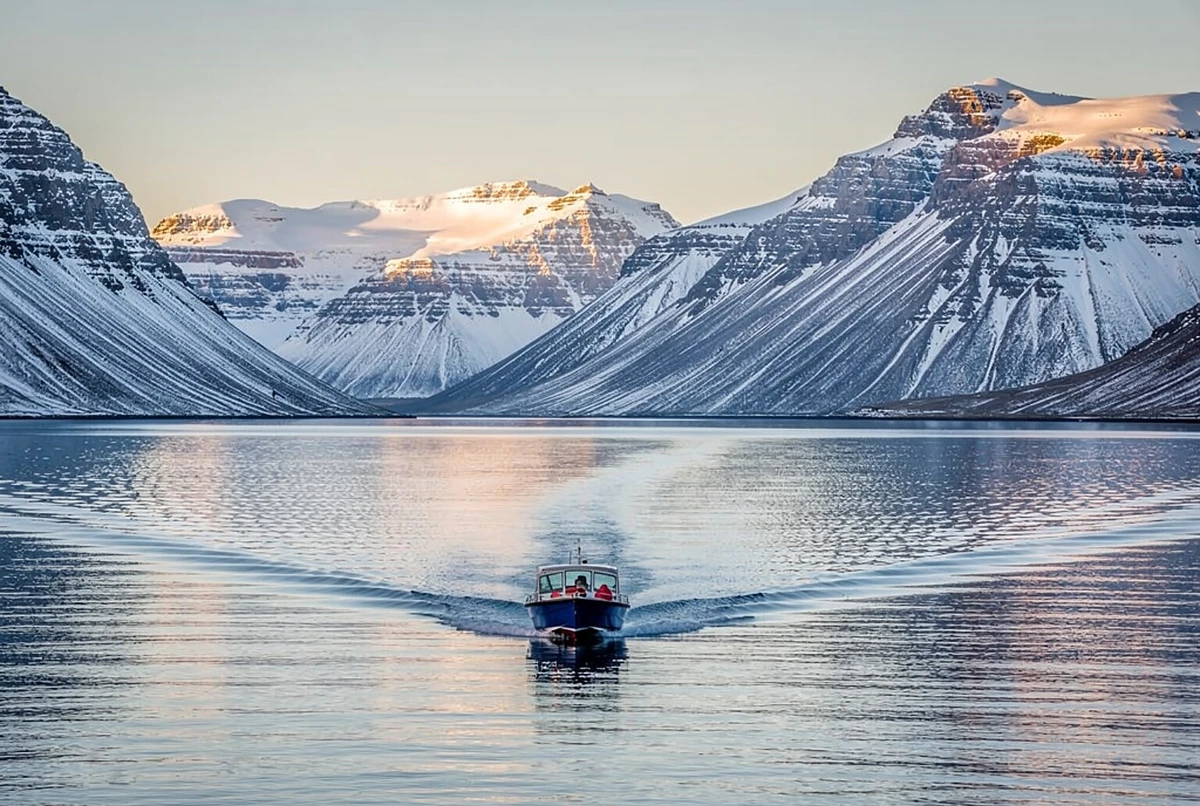 Whale Watching Express by RIB Speedboat Akureyri