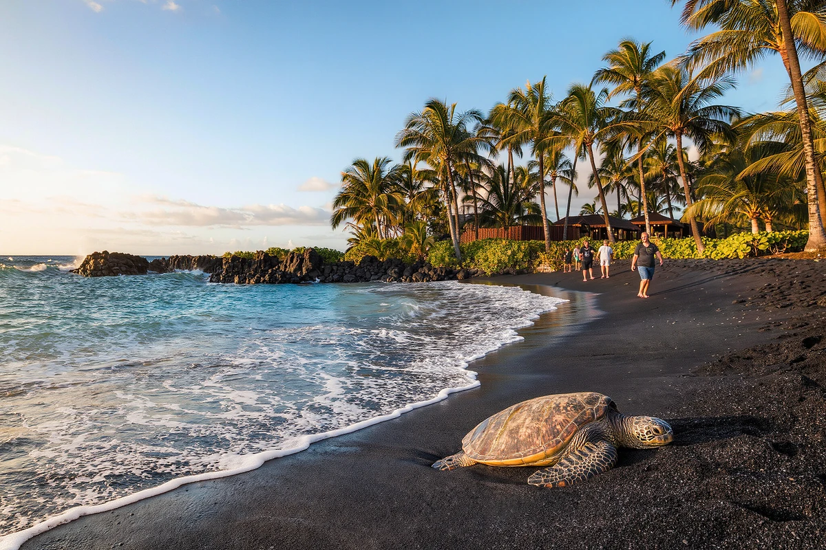 Big Island Volcanoes, Waterfalls and Coffee Farm Day Trip