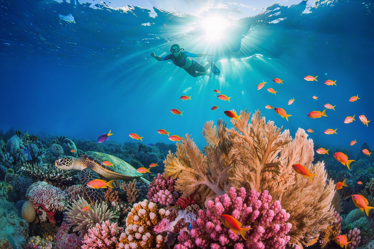 Tiran Island Snorkelling Cruise with Lunch Sharm El Sheikh