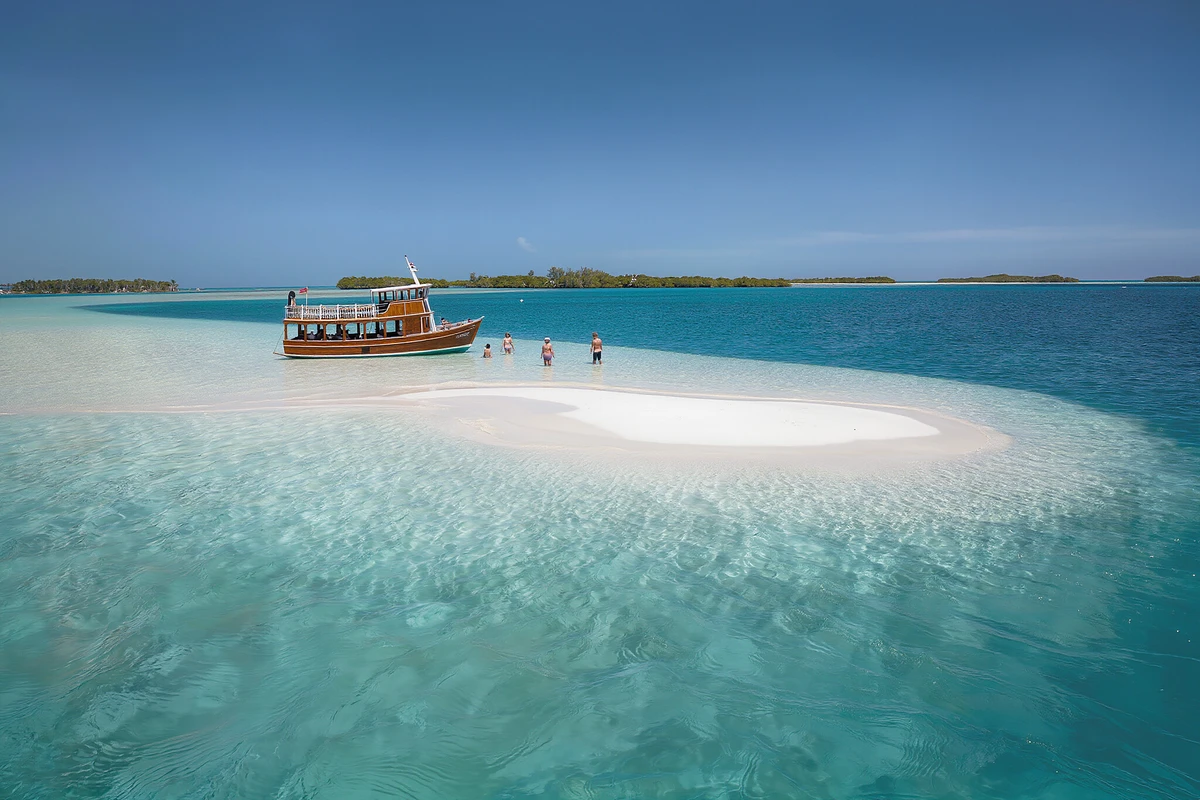 Sandbar Excursion and Kayak Tour with Lunch Key West