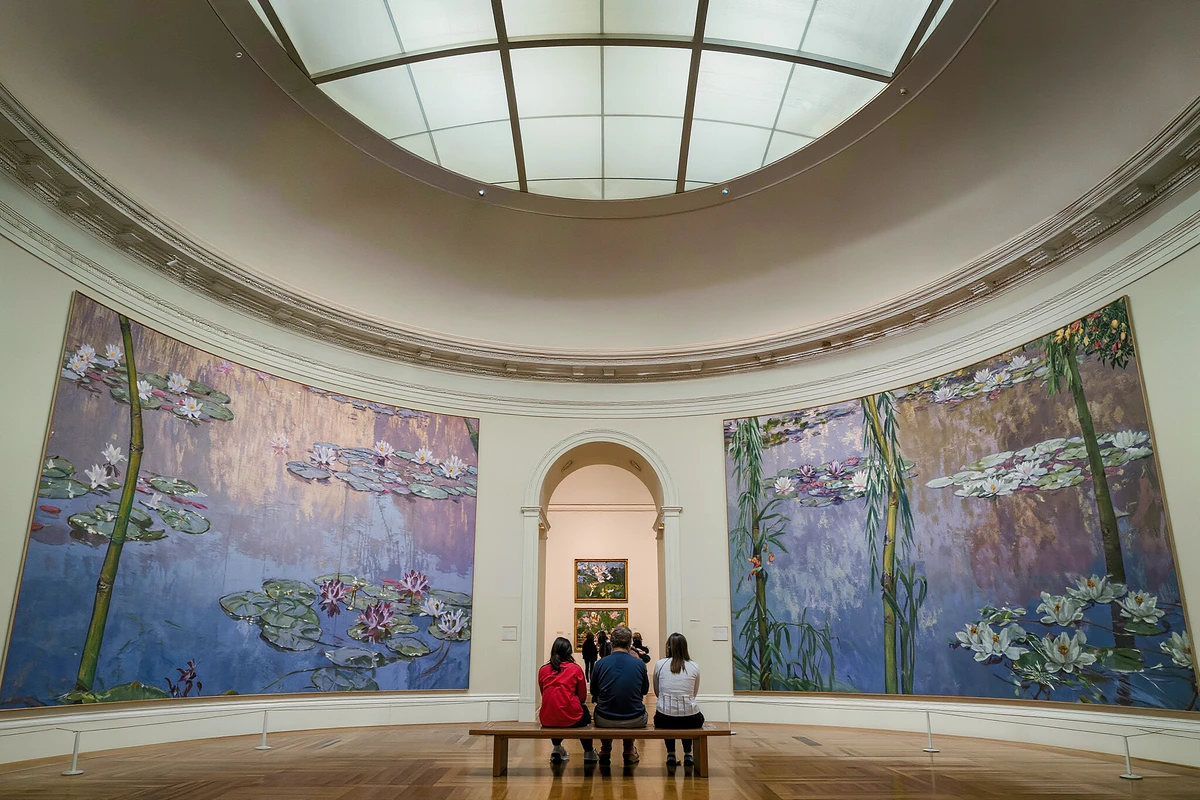 Orangerie Museum Reserved Entry Tickets with Monet Water Lilies Paris