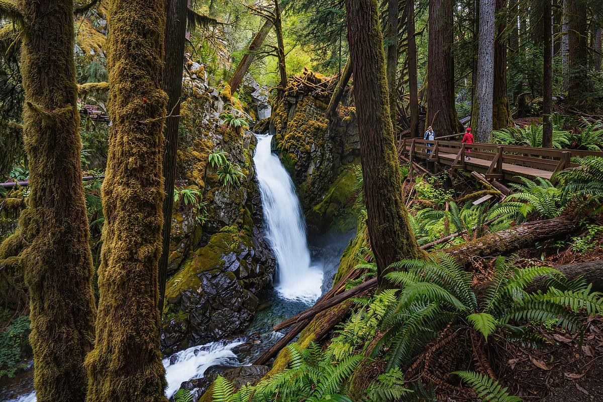 Mount Rainier National Park Guided Day Tour from Seattle