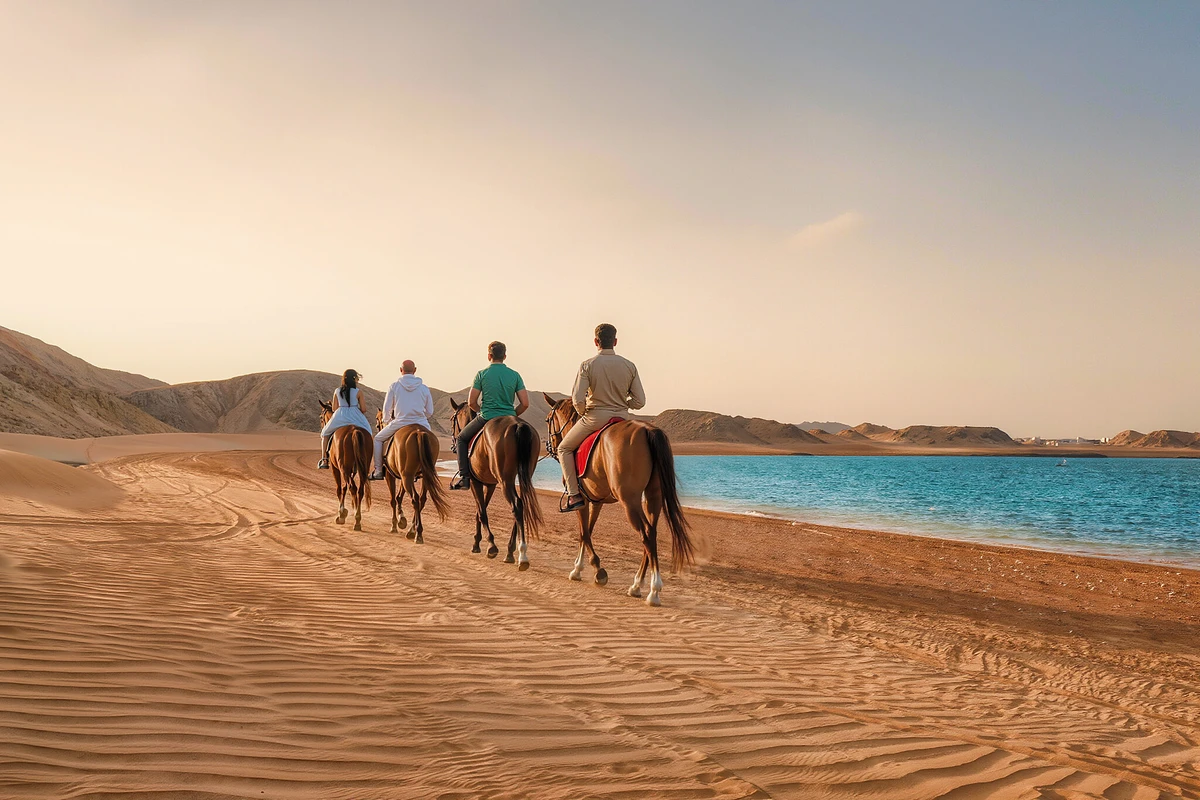 Desert and Sea Horse Riding Makadi Bay