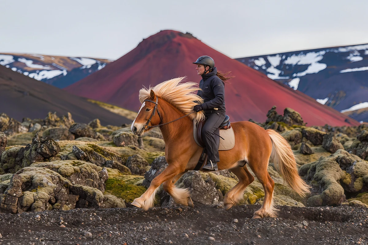 Icelandic Horse Riding Tour in the Red Lava Fields Reykjavik