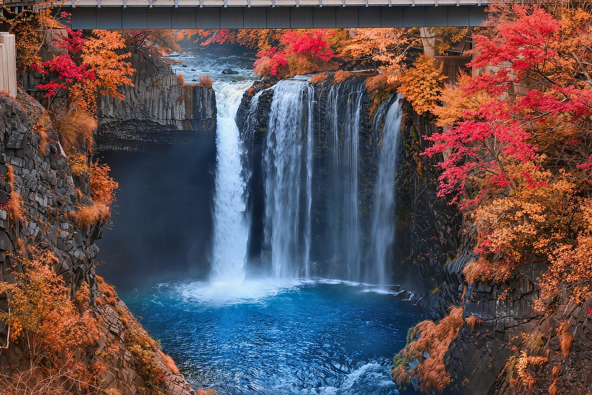 Asahiyama Zoo, Shirahige Waterfall & Blue Pond Day Tour, Sapporo