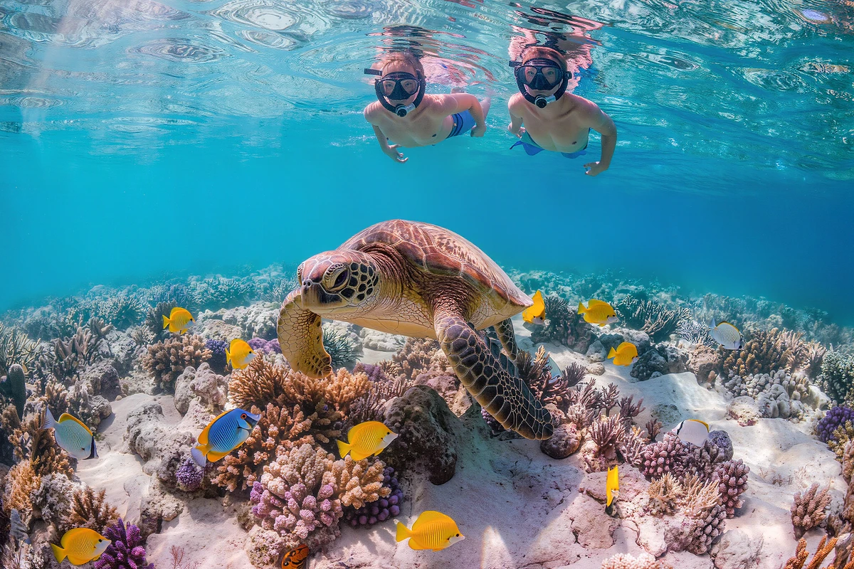 Molokini and Turtle Town Snorkeling Cruise with Meals Maui