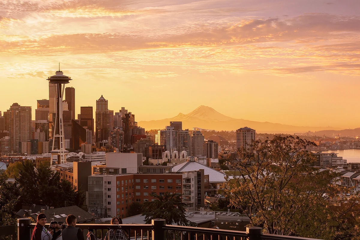 Seattle City Highlights Minibus Tour with Local Guide