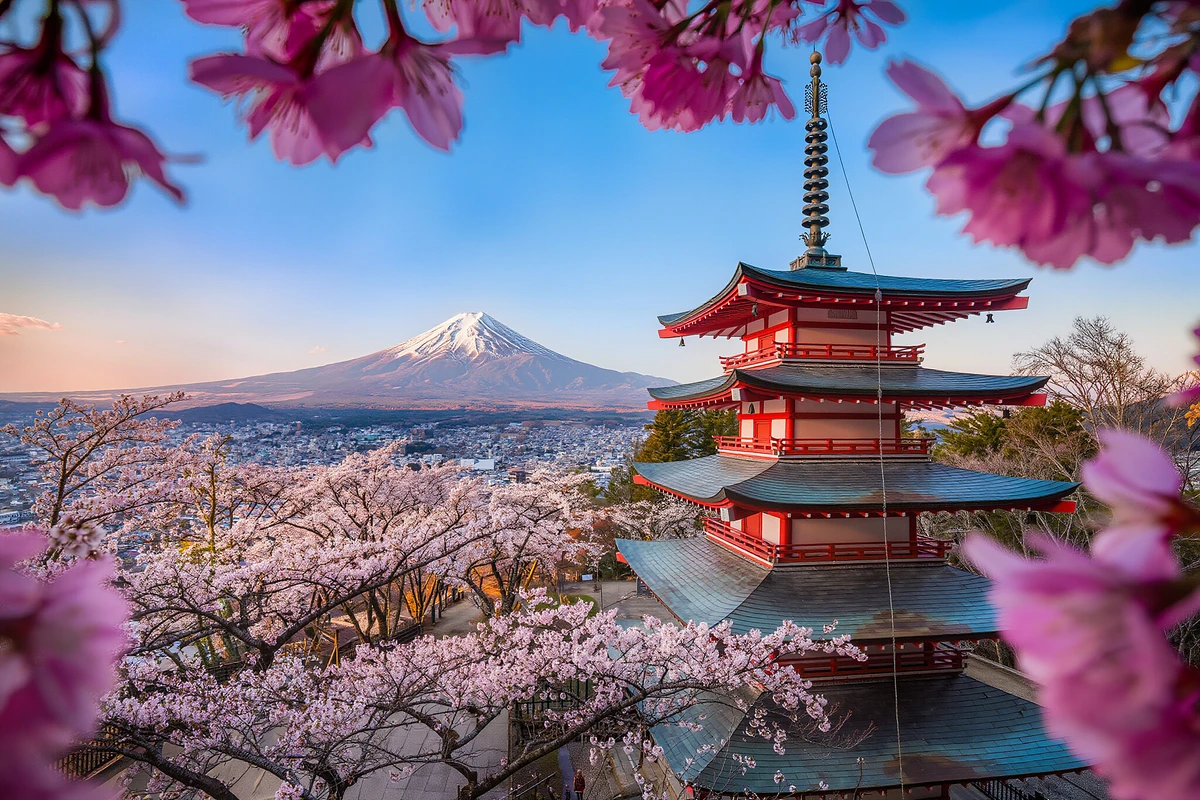 Private Mount Fuji Tour with English-Speaking Guide from Tokyo