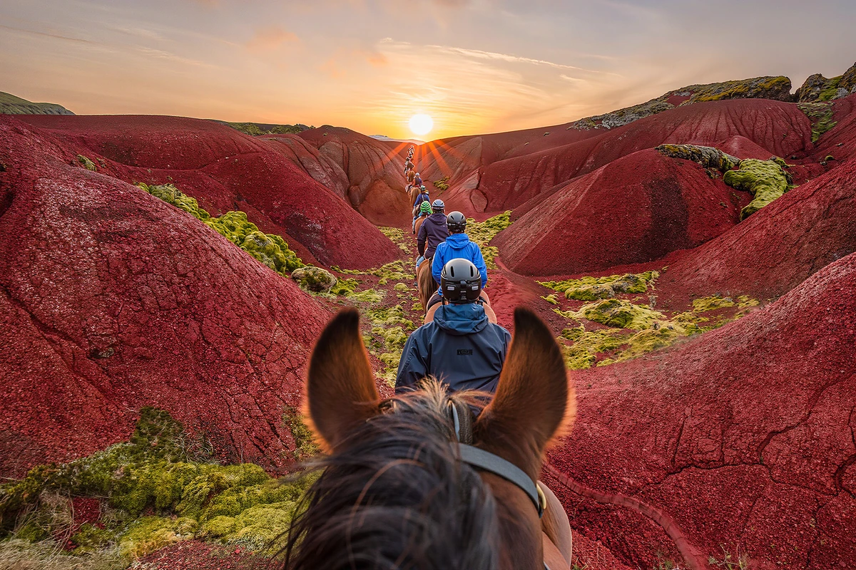 Icelandic Horse Riding Tour in the Red Lava Fields Reykjavik