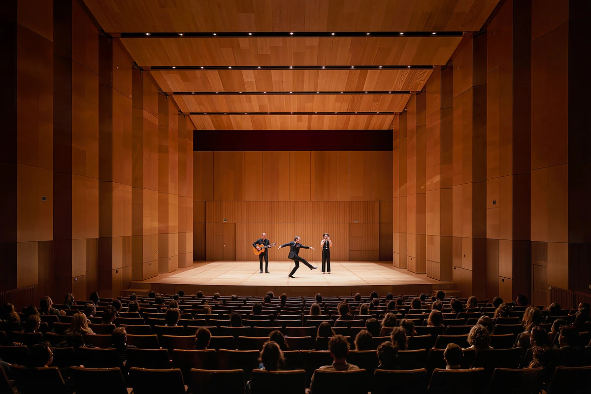 Flamenco Show at Teatro Flamenco Madrid
