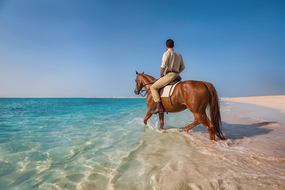 Desert and Sea Horse Ride with Swimming Option Sahl Hasheesh