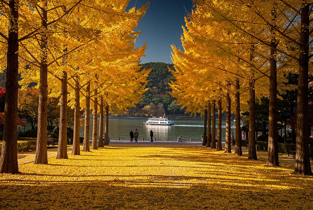 Seoul to Nami Island