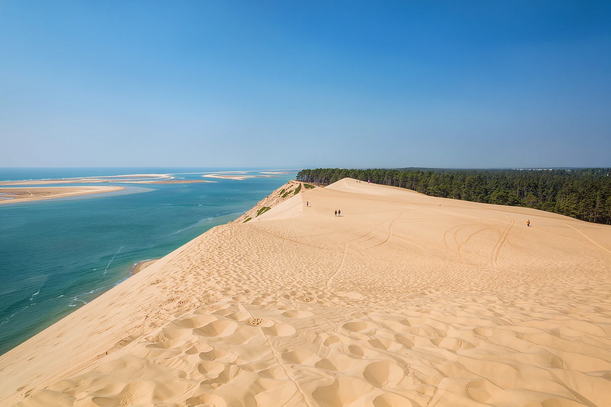 Private Dune du Pilat and Arcachon Bay Tour from Bordeaux