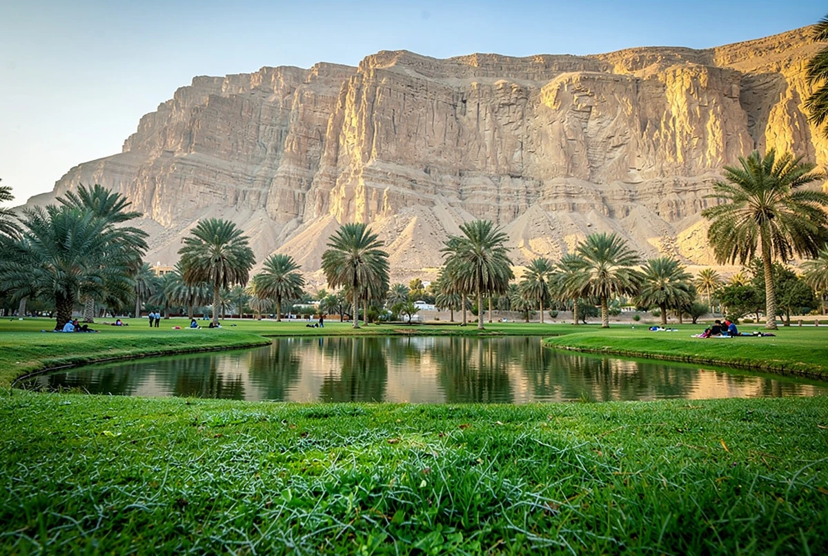 دبي إلى العين