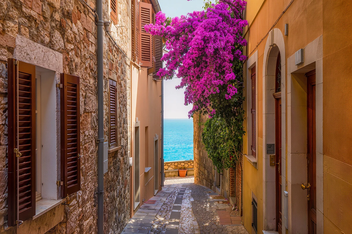 Saint-Tropez and Port Grimaud Day Trip from Cannes