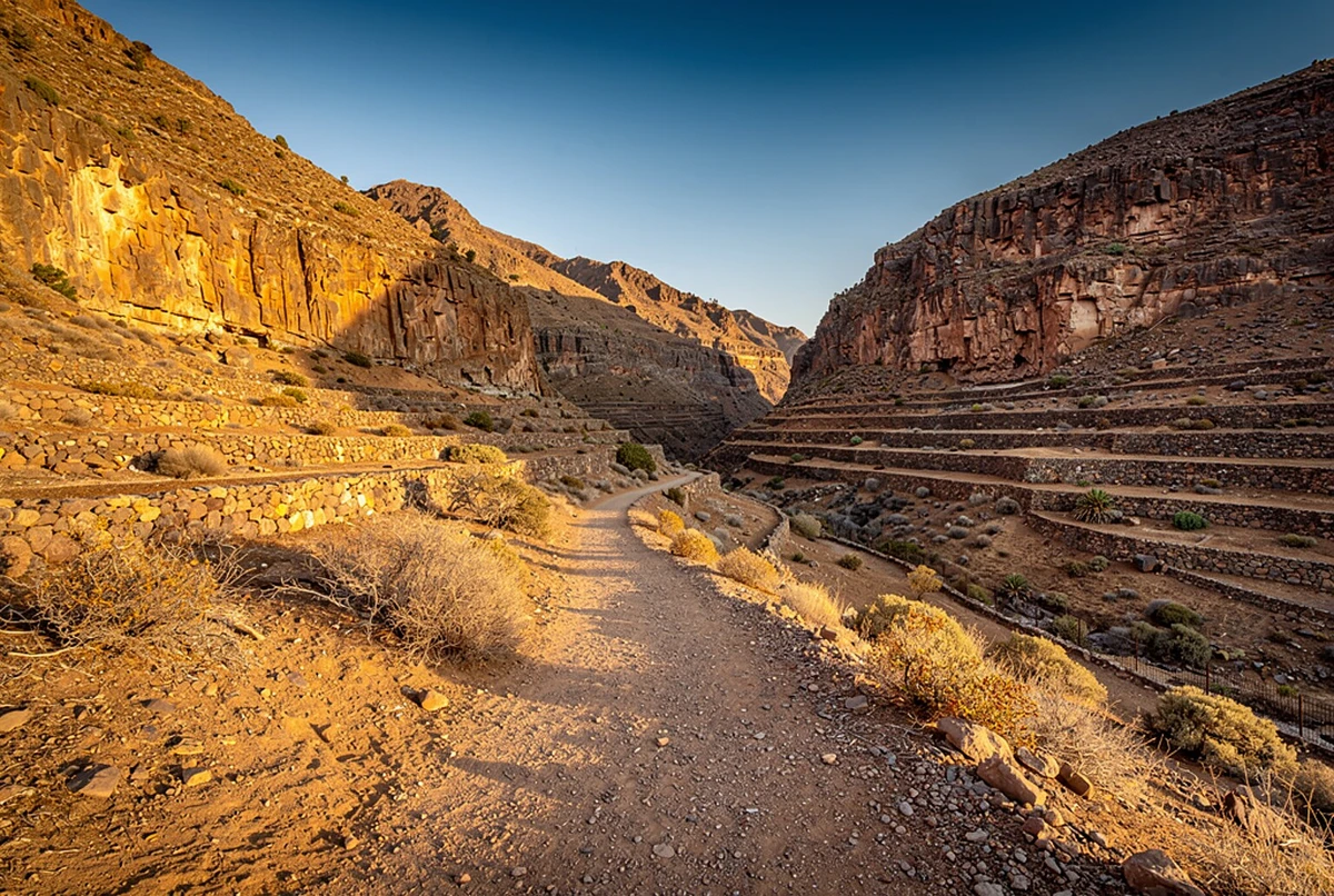Off-Road Buggy Adventure in the Canyons Gran Canaria