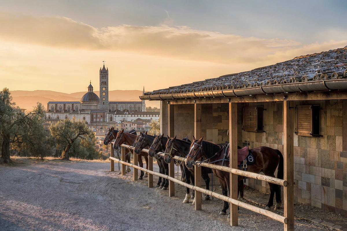 Horseback Ride in the Sienese Countryside
