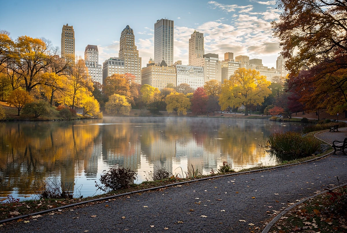Private Central Park Pedicab Tour New York