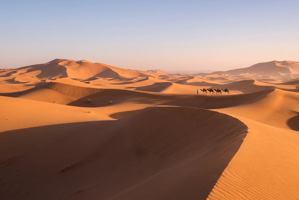 المغرب