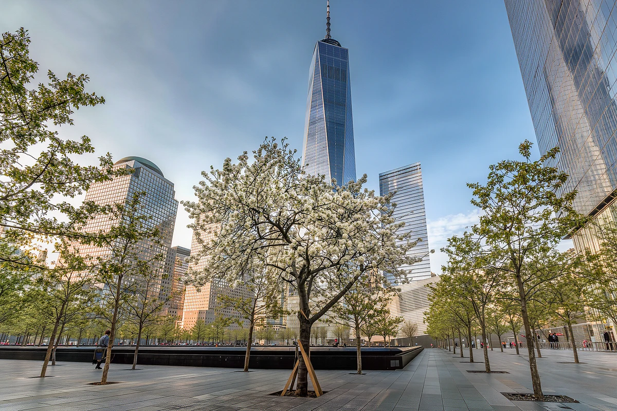 9/11 Memorial & Museum Timed-Entry Tickets New York