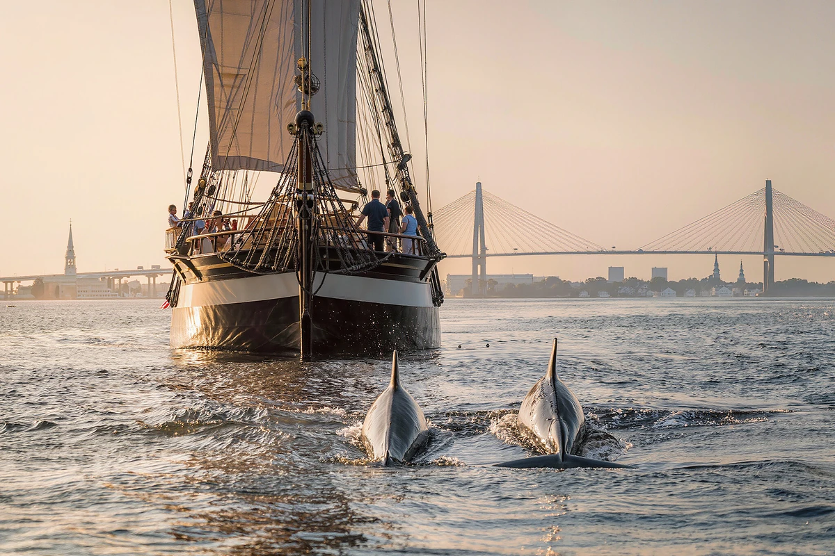 Charleston Harbor Schooner Sailing and Dolphin Watch
