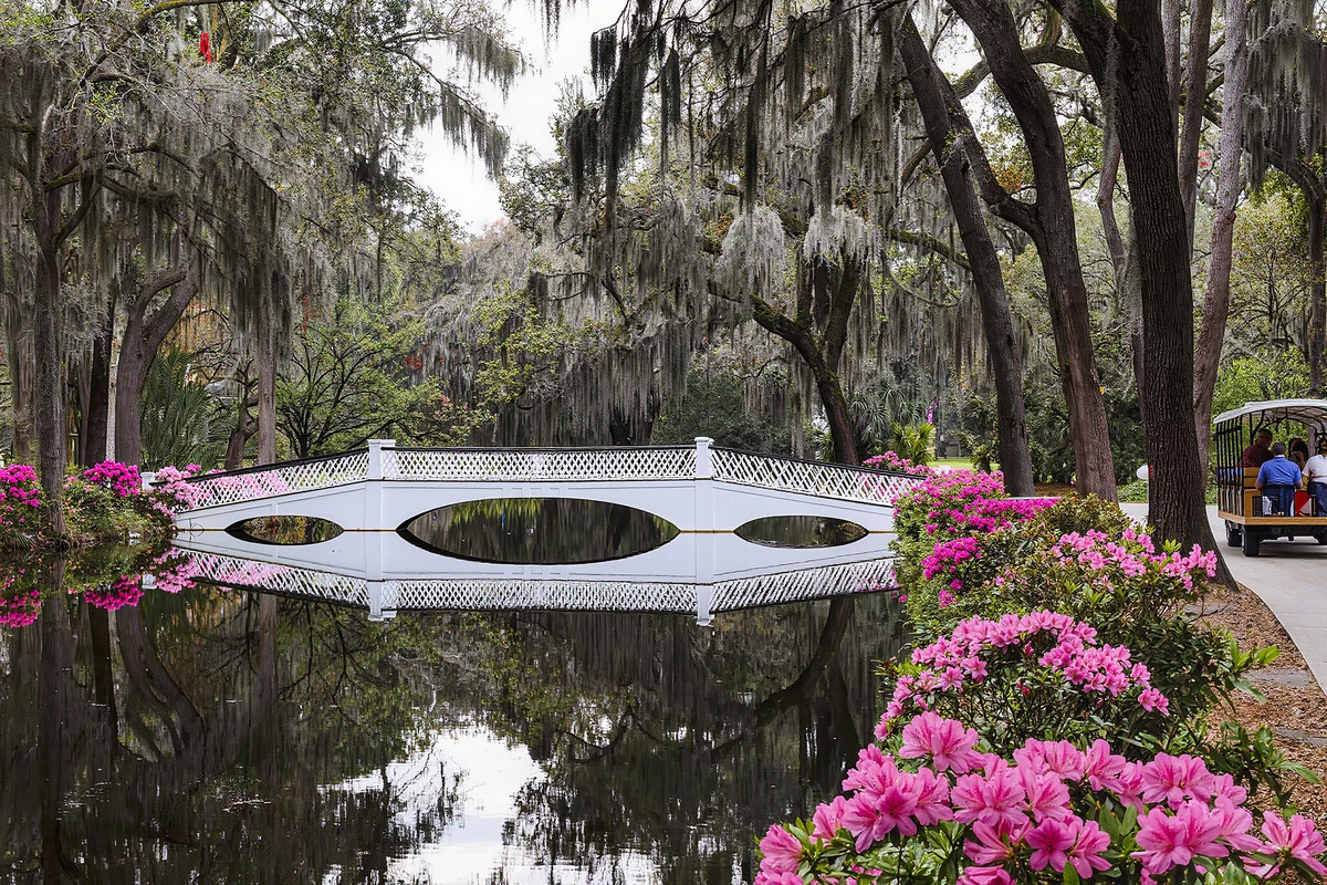 Magnolia Plantation Tour with Transport from Charleston