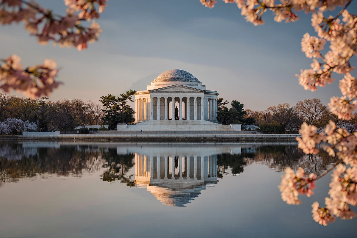 Washington DC Monuments and History Guided E-Cart Tour