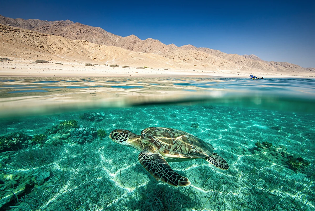 Hurghada Airport to Marsa Alam