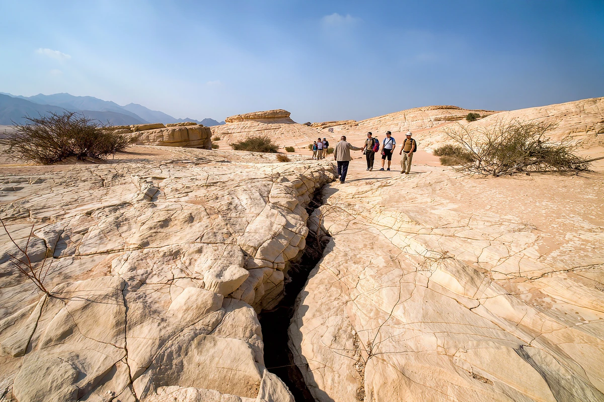 Ras Mohamed National Park Half-Day Tour by Bus Sharm El Sheikh