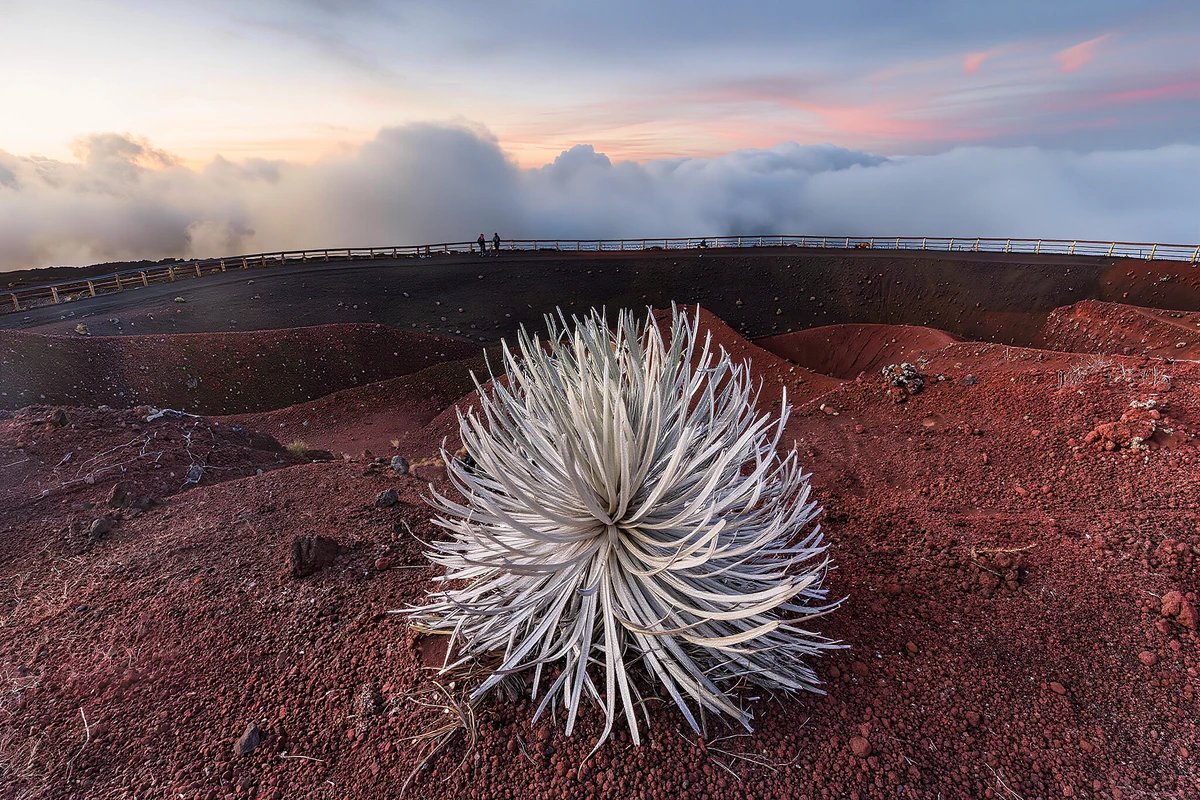 Haleakala National Park Sunrise Tour Maui