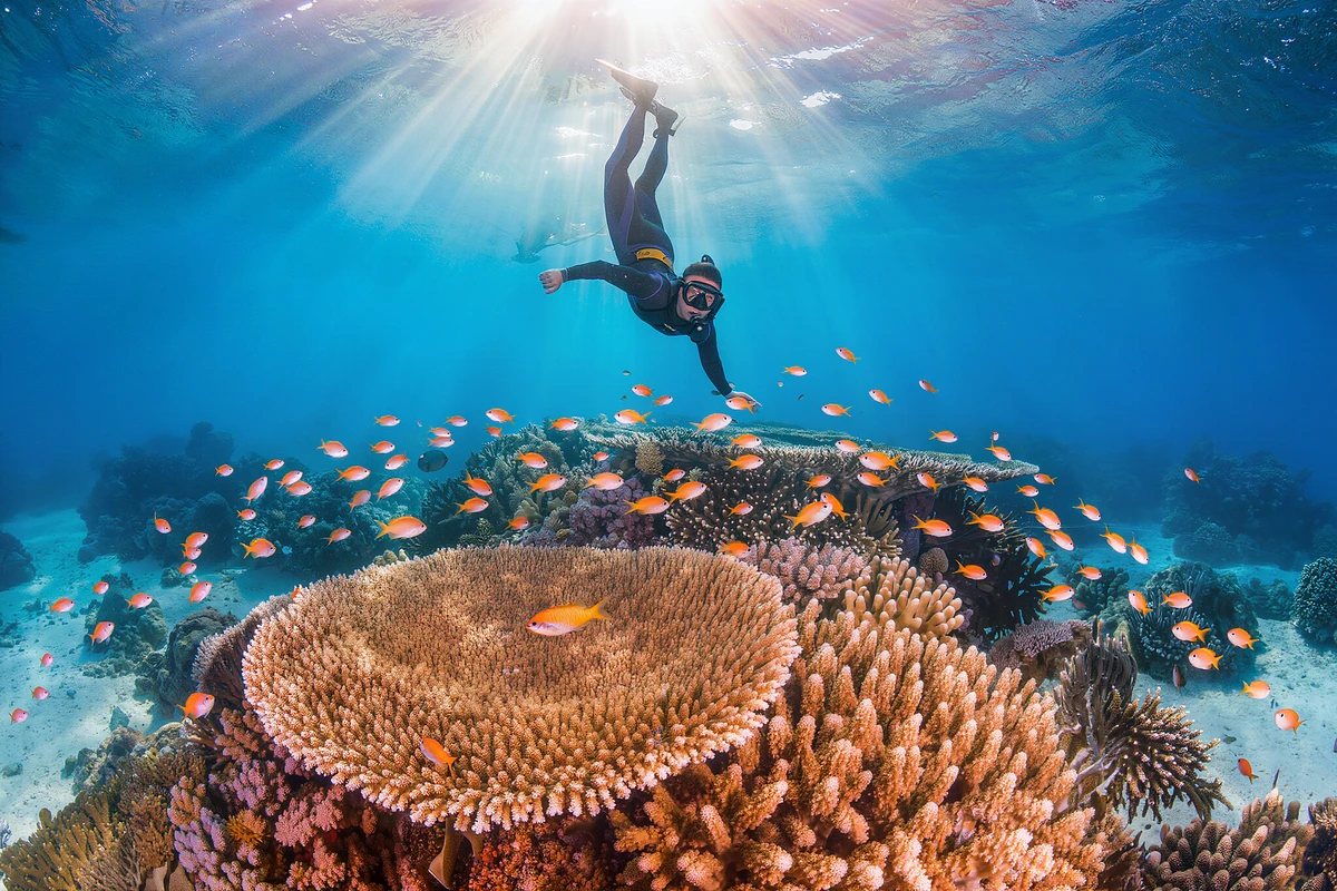 Paradise Island Speedboat or Yacht Snorkelling Trip Sahl Hasheesh
