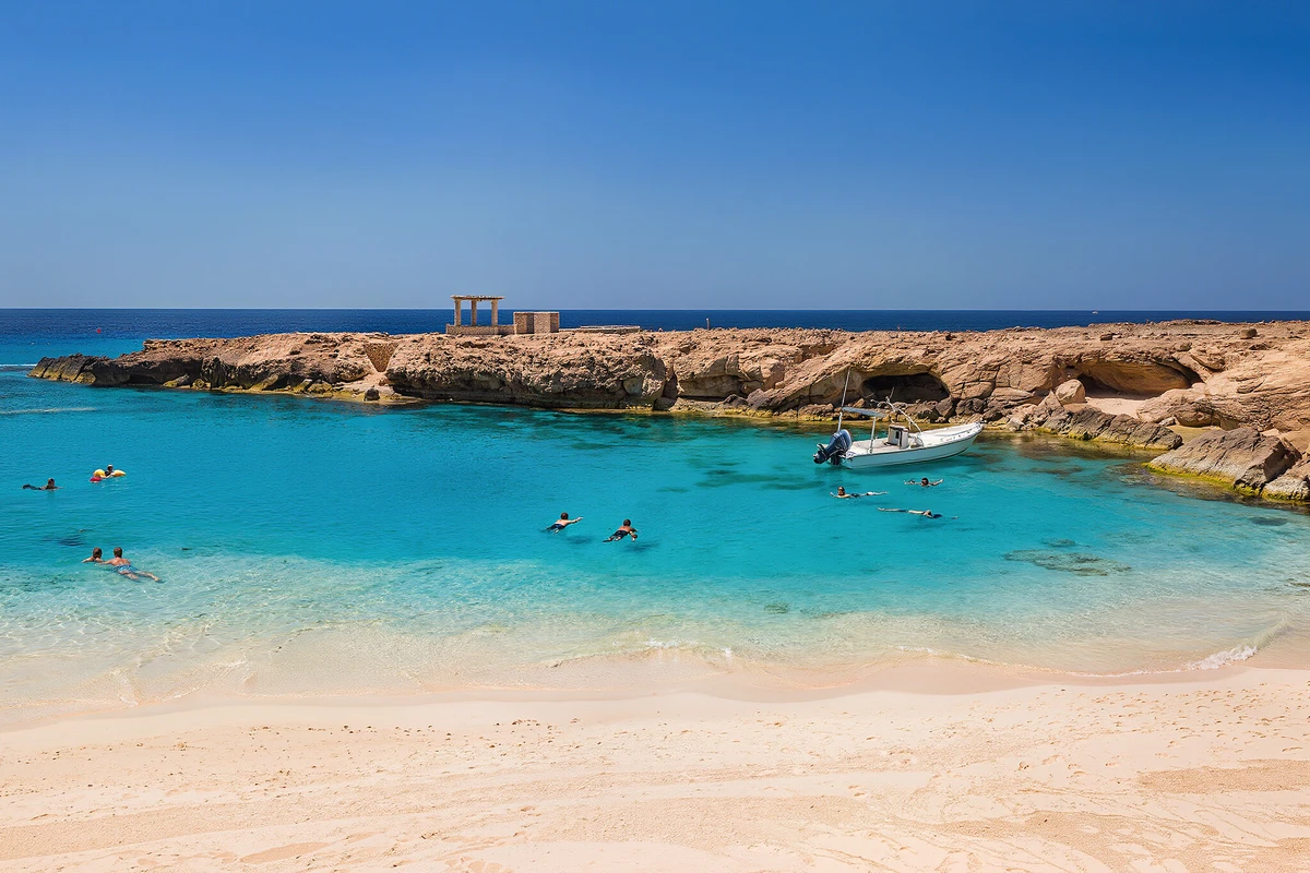 Sea Turtle Snorkelling Trip at Marsa Mubarak Marsa Alam