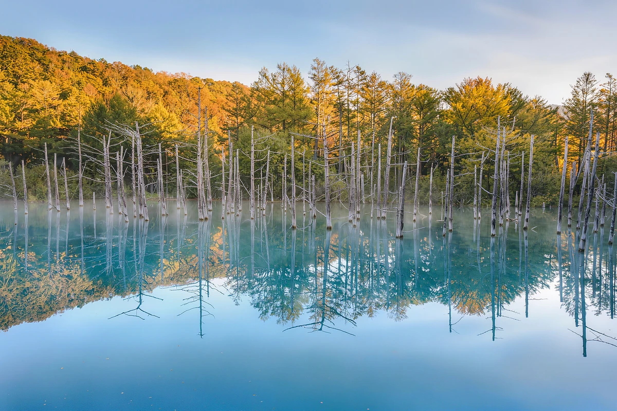 Asahiyama Zoo, Shirahige Waterfall & Blue Pond Day Tour, Sapporo