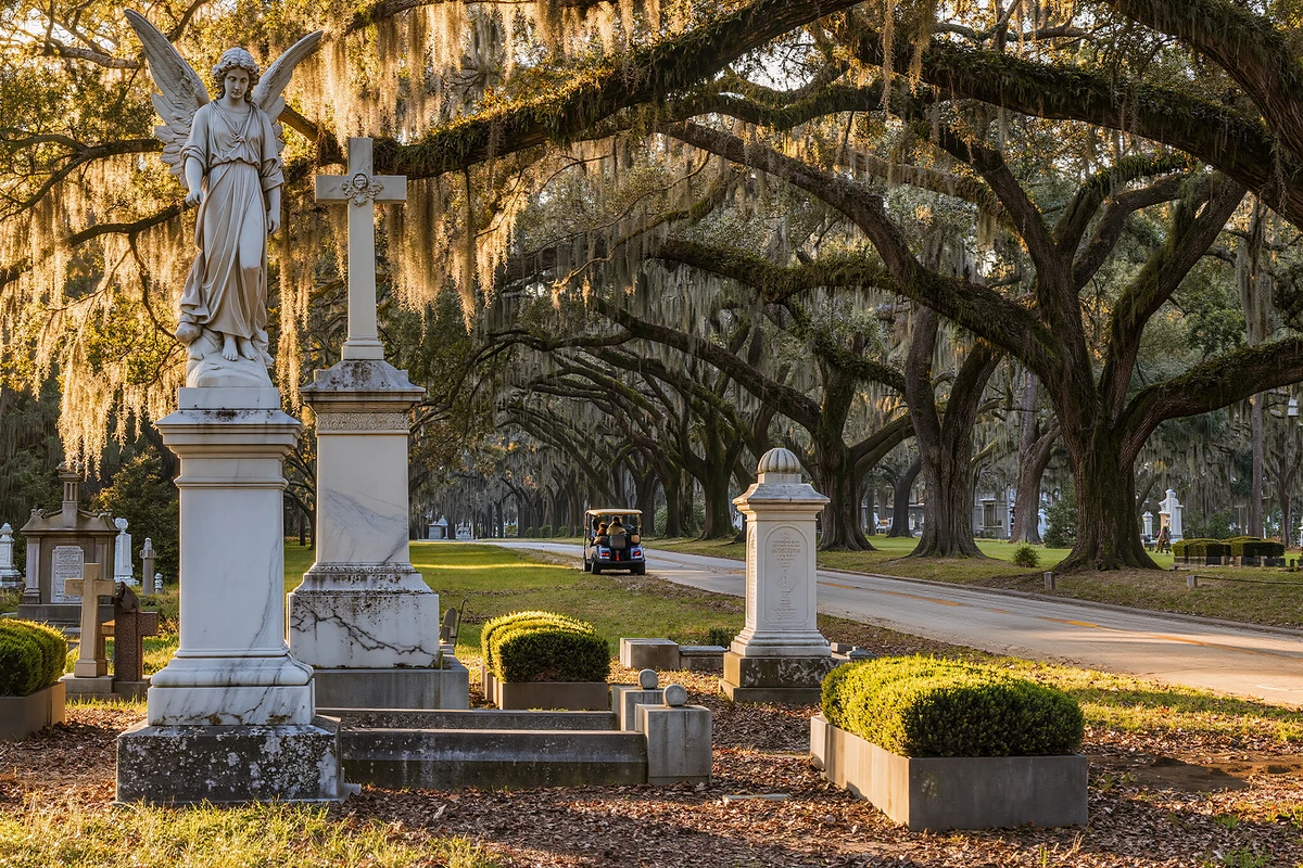 Bonaventure Cemetery Guided Golf Cart Tour Savannah