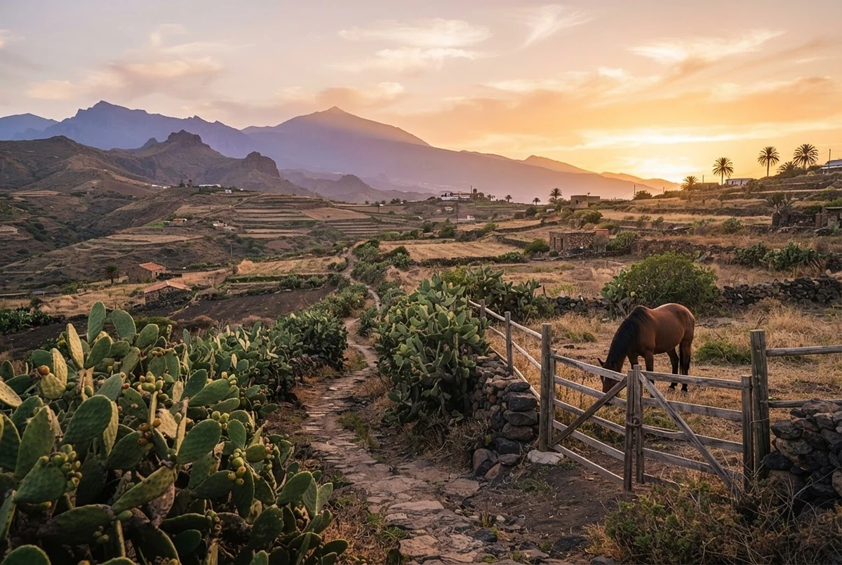 Horseback Ride with Instructor Tenerife