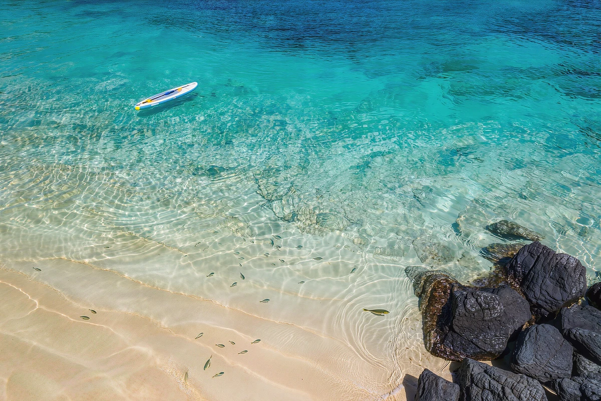 Lobos Island Catamaran Tour with Snorkelling and Paella Corralejo