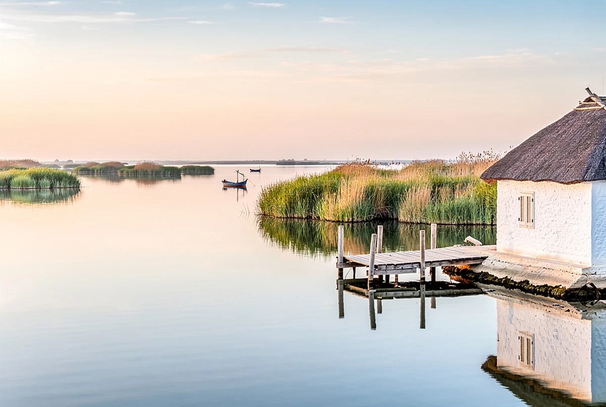 Albufera Electric Boat Ride with Guide and Sunset Option Valencia