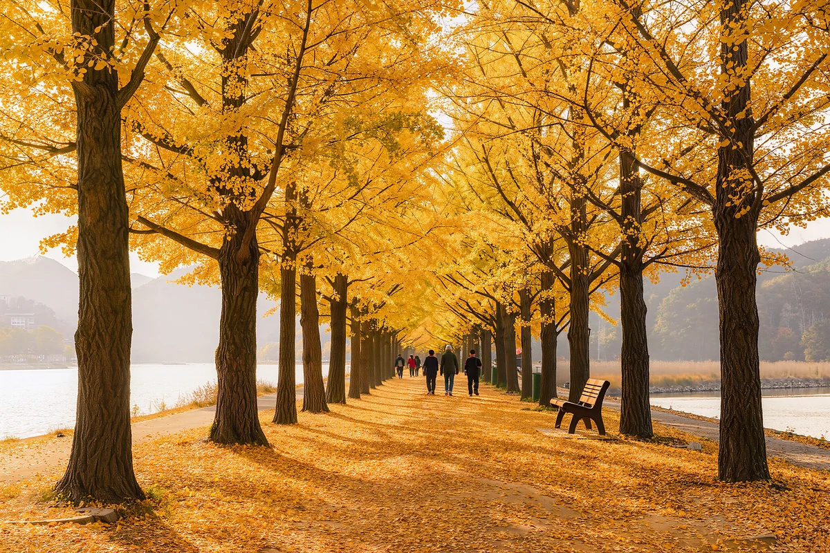 Mt Seorak, Nami Island & Garden of Morning Calm Day Trip from Seoul