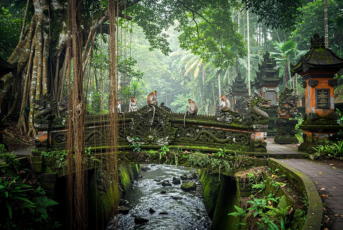 Ubud to Bali Airport