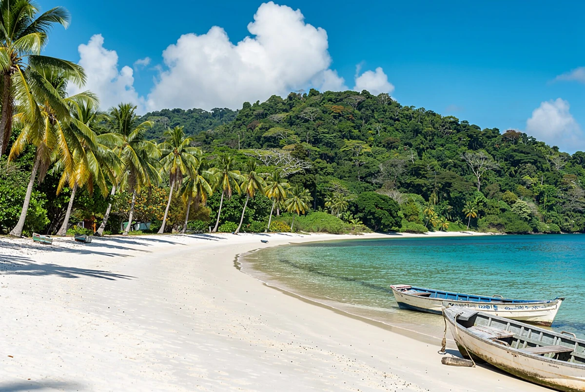 Tortuga Island Boat Trip with Snorkelling and Lunch San José