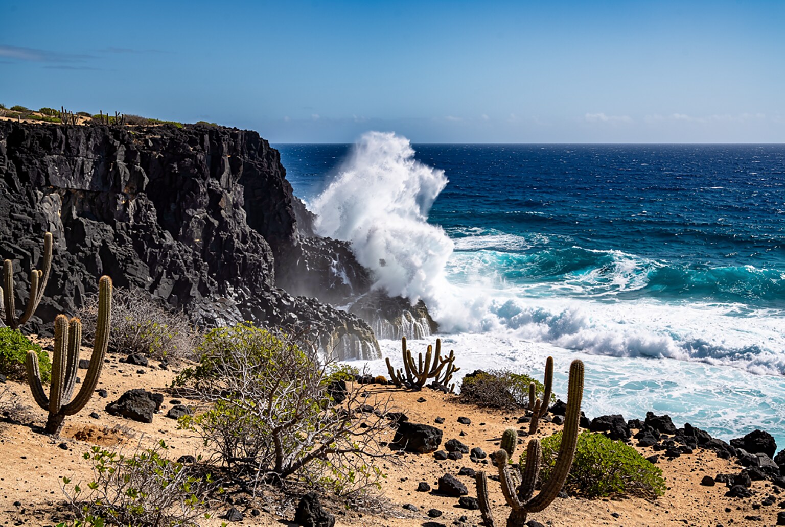 Full Day Island Jeep Safari Aruba