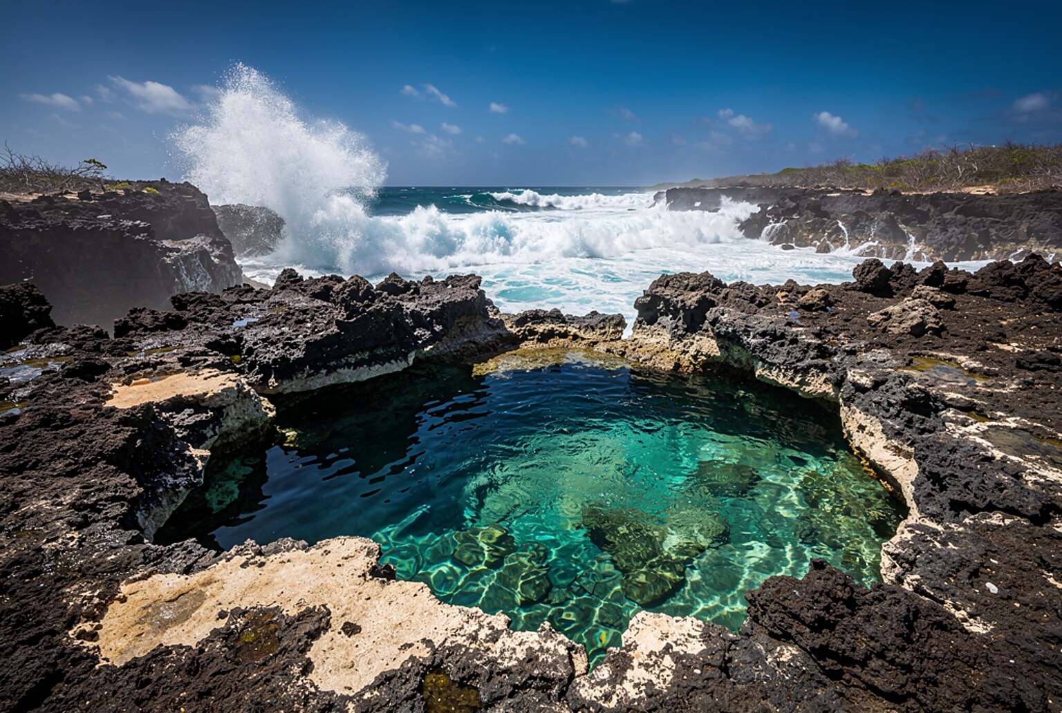 Natural Pool Caves and Baby Beach Jeep Tour Aruba