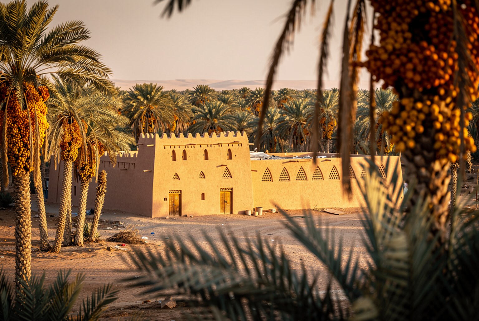 قطار من الرياض إلى القصيم