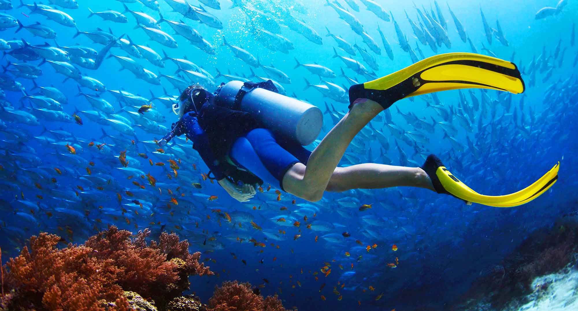 scuba diving tours